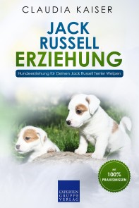 Jack Russell Erziehung