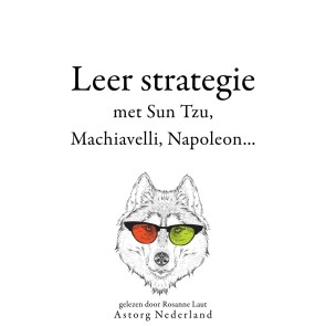 Leer strategie met Sun Tzu, Machiavelli, Napoleon...