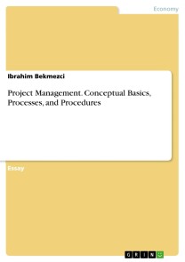 Project Management. Conceptual Basics, Processes, and Procedures