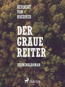 Der graue Reiter