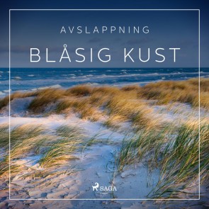 Avslappning - Blåsig kust