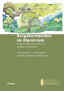 Bergahornweiden im Alpenraum