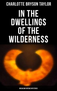 In the Dwellings of the Wilderness (Musaicum Vintage Mysteries)