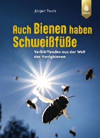 Auch Bienen haben Schweißfüße