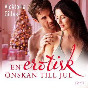 En erotisk önskan till jul - erotisk julnovell