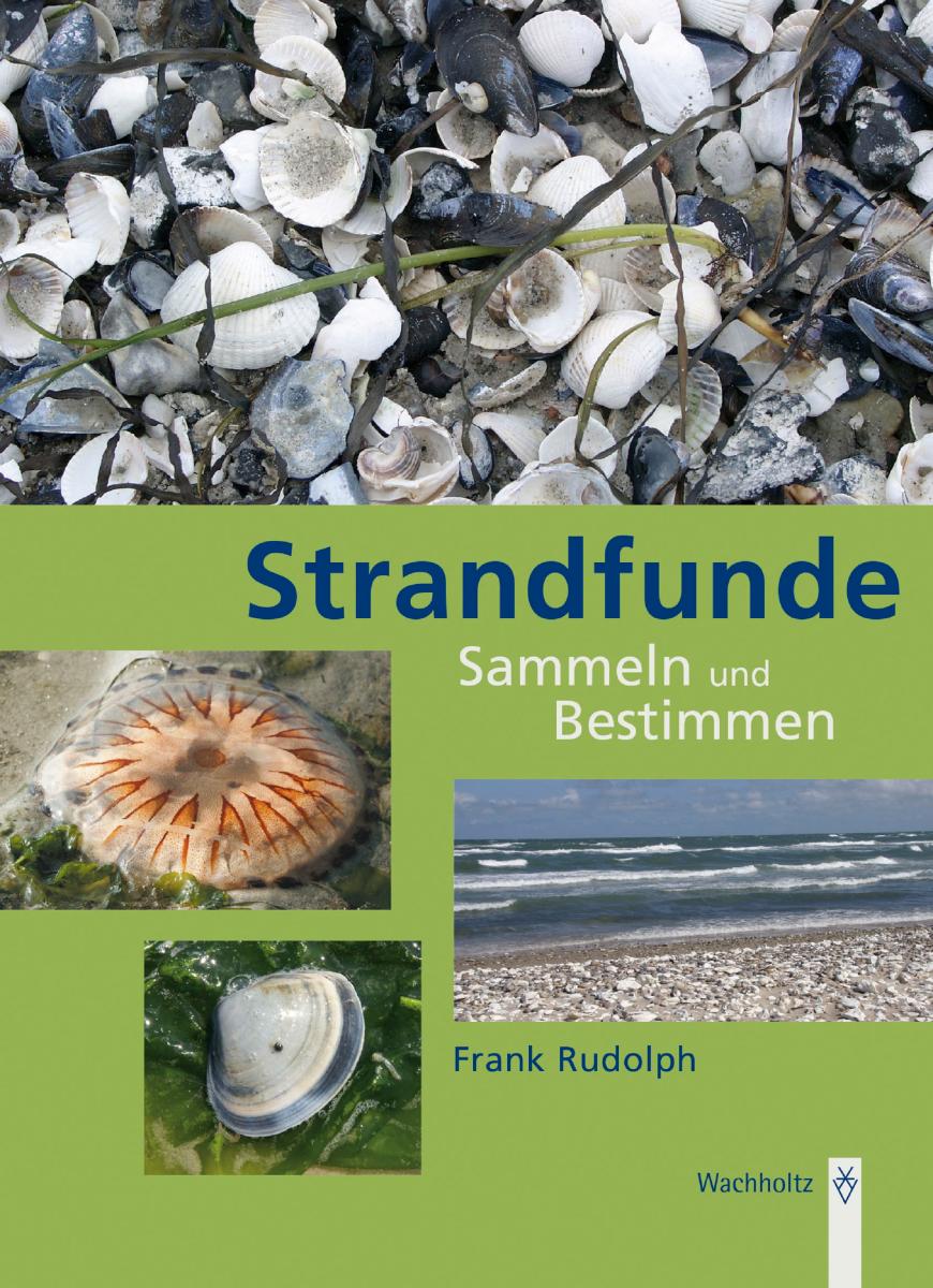 Strandfunde