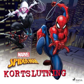 Spider-Man - Kortslutning