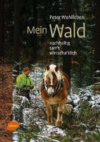 Mein Wald