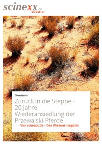 Zurück in die Steppe