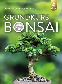 Grundkurs Bonsai