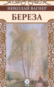 Береза