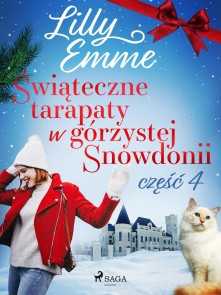 Swiateczne tarapaty w górzystej Snowdonii - czesc 4