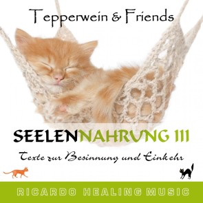 Seelennahrung 3: Texte zur Besinnung und Einkehr (Tepperwein and Friends)