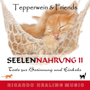 Seelennahrung 2: Texte zur Besinnung und Einkehr (Tepperwein and Friends)