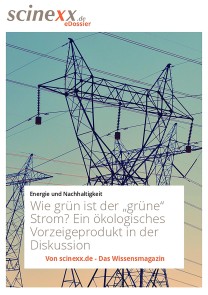 Wie grün ist der "grüne" Strom?