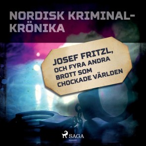 Josef Fritzl och fyra andra brott som chockade världen