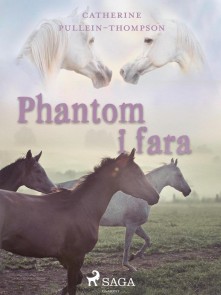 Phantom i fara