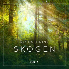 Avslappning - Skogen