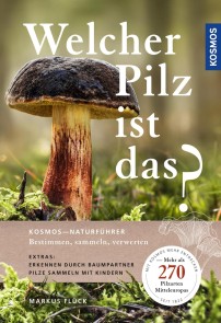 Welcher Pilz ist das?