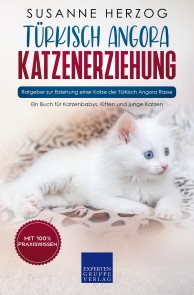 Türkisch Angora Katzenerziehung - Ratgeber zur Erziehung einer Katze der Türkisch Angora Rasse