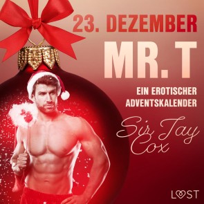 23. Dezember: Mr. T  - ein erotischer Adventskalender