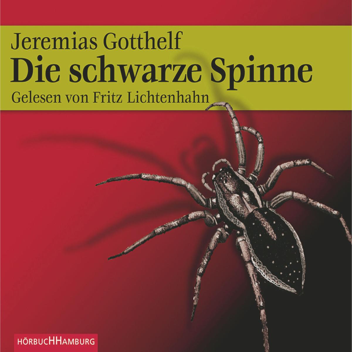 Die schwarze Spinne