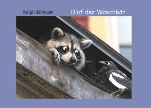 Olaf der Waschbär