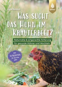 Was sucht das Huhn im Kräuterbeet?