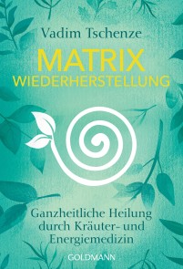 Matrix Wiederherstellung