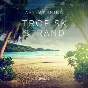 Avslappning - Tropisk strand