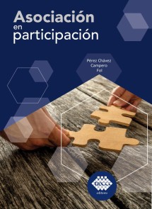 Asociación en participación 2019