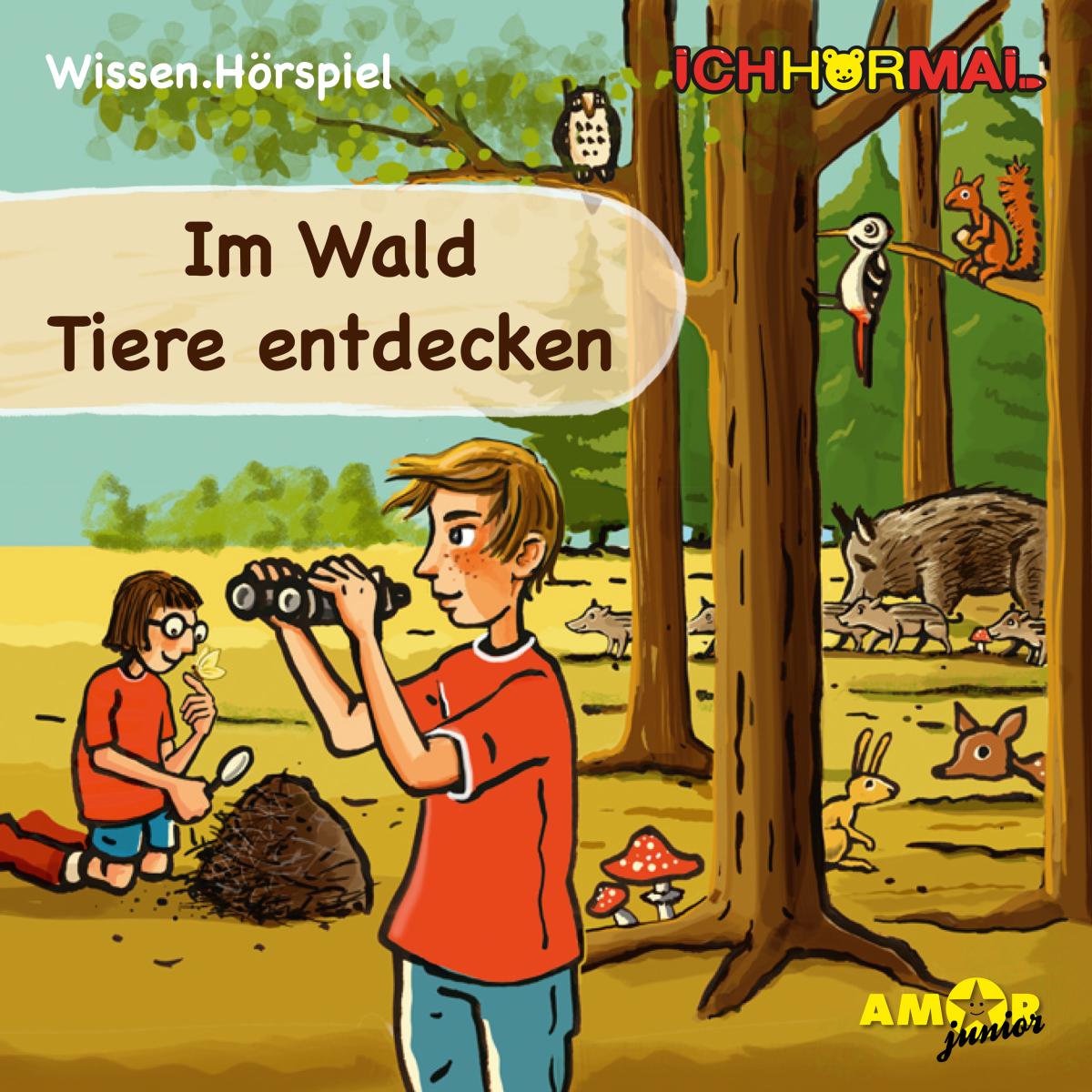 Im Wald Tiere entdecken (Ungekürzt)