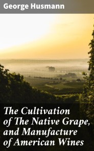 The Cultivation of The Native Grape, and Manufacture of American Wines