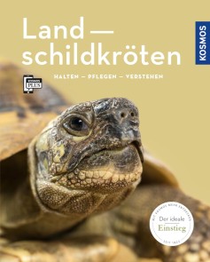 Landschildkröten