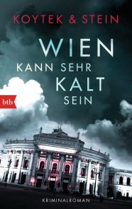 Wien kann sehr kalt sein