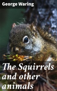 The Squirrels and other animals