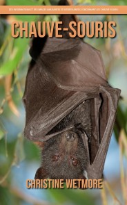 Chauve-Souris - Des Informations et des Images Amusantes et Intéressantes concernant les Chauve-Souris