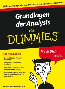 Grundlagen der Analysis für Dummies