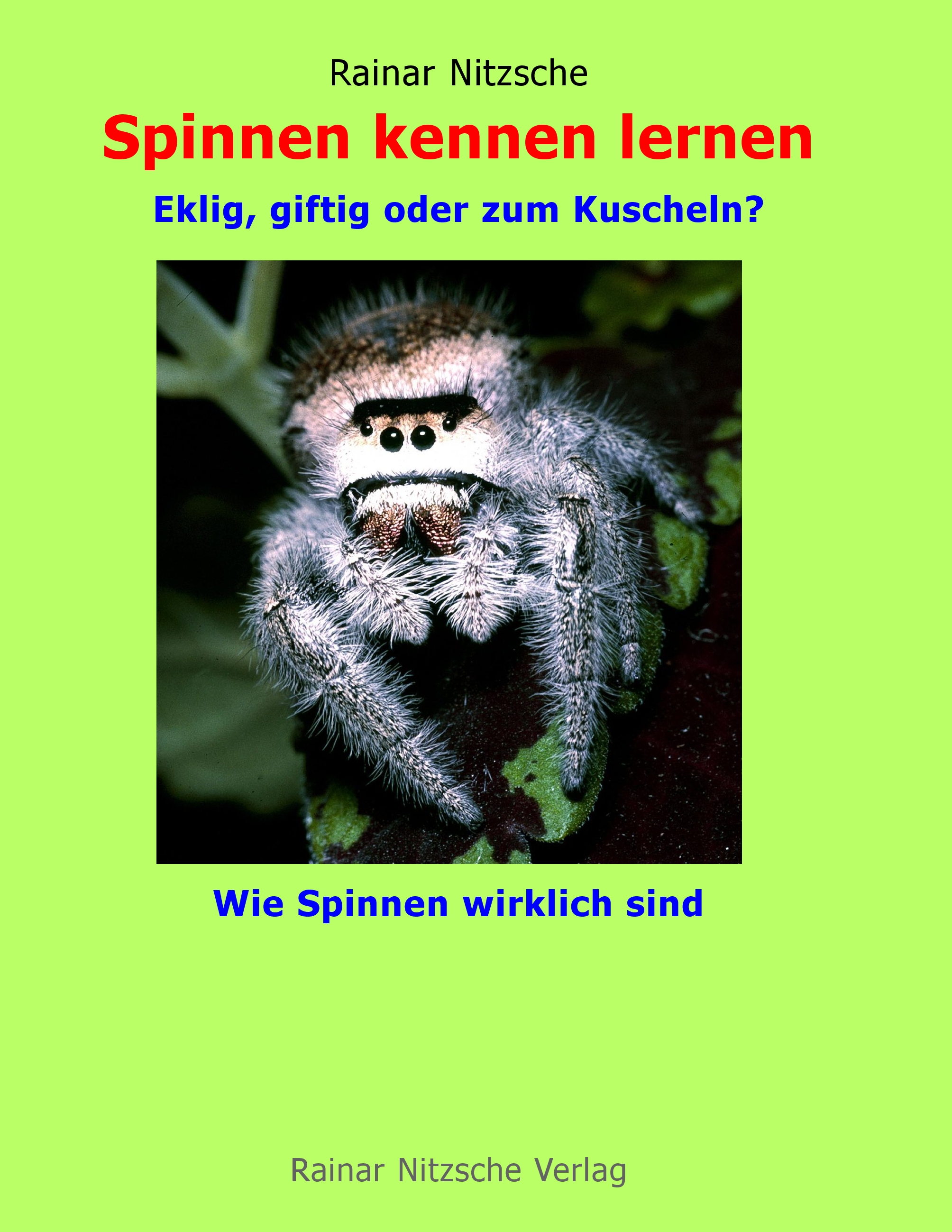 Spinnen kennen lernen