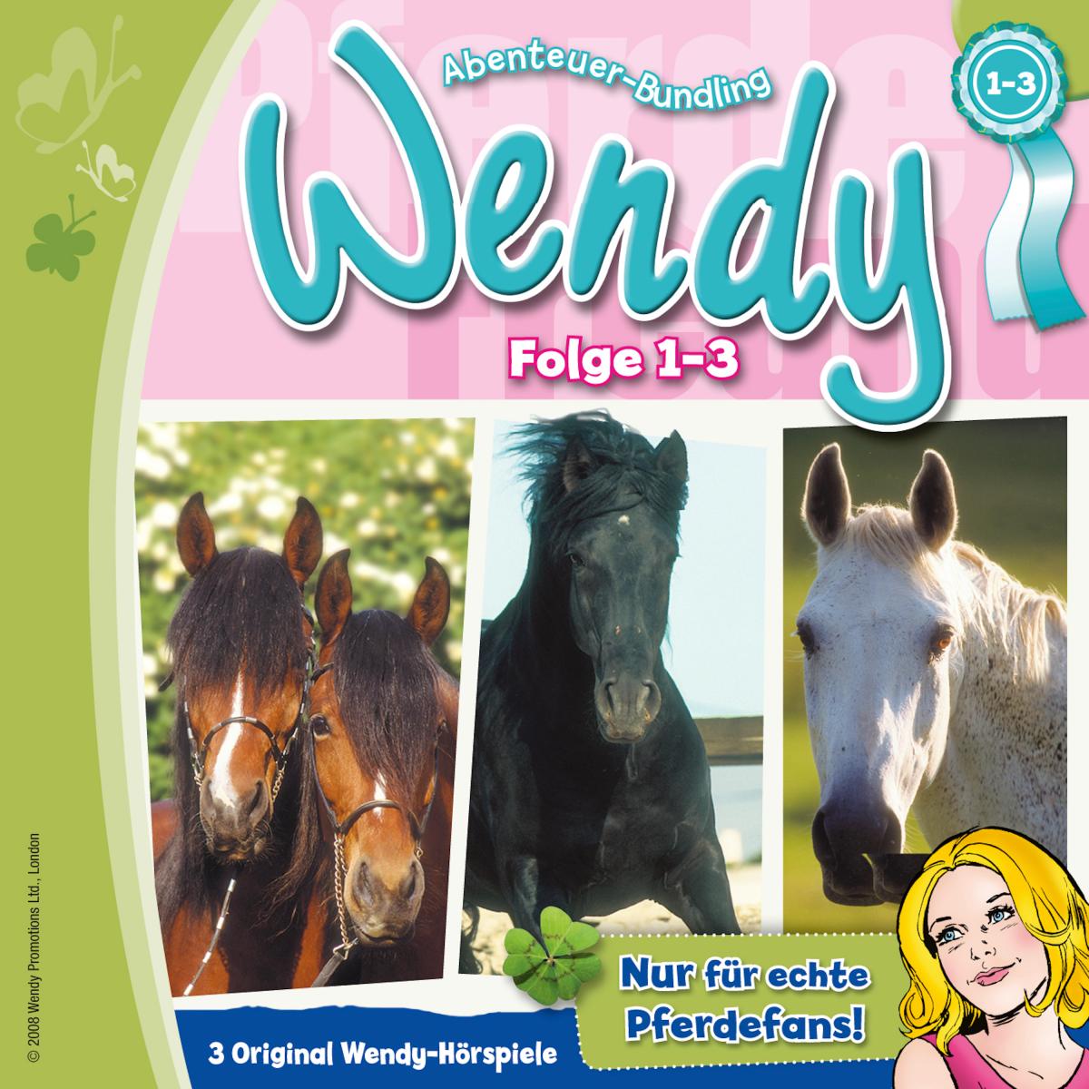 Wendy - Einsteigerbox