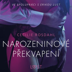 Narozeninové prekvapení - Erotická povídka