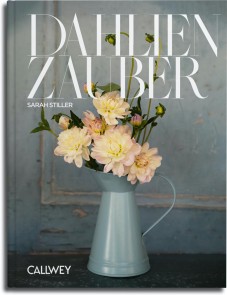 Dahlienzauber