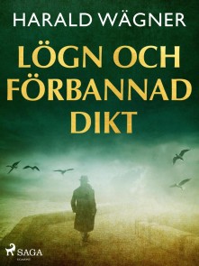 Lögn och förbannad dikt