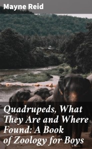 Quadrupeds, What They Are and Where Found: A Book of Zoology for Boys