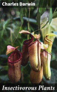 Insectivorous Plants