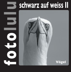 fotolulu schwarz auf weiss II