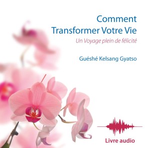 Comment Transformer Votre Vie