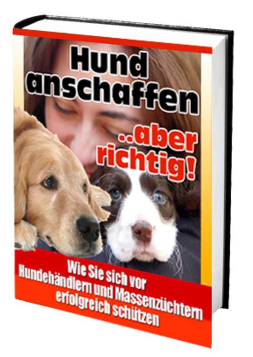 Hund anschaffen - aber richtig!