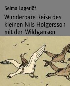 Wunderbare Reise des kleinen Nils Holgersson mit den Wildgänsen