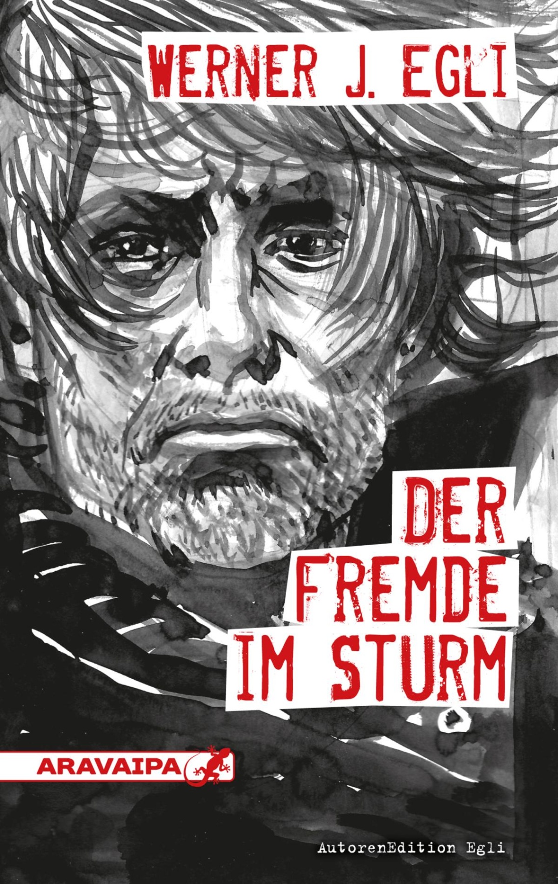 Der Fremde im Sturm